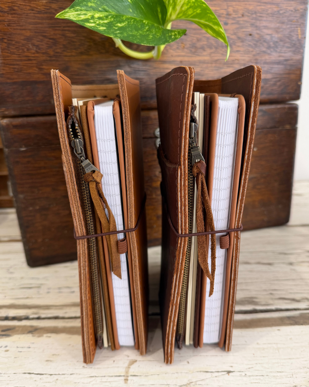 The Wren's Companion